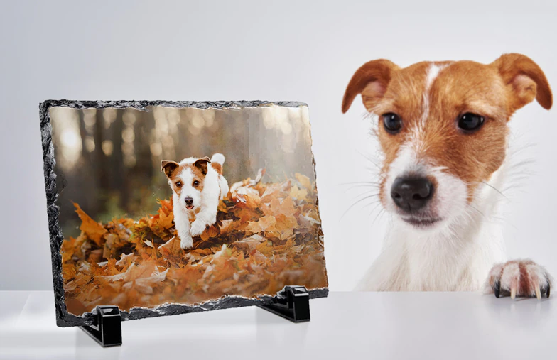 Stone Photo Slate|Custom Photo Slates|Custom Photo Slates|Custom Photo Slates|Custom Photo Slates|Custom Photo Slates|||||