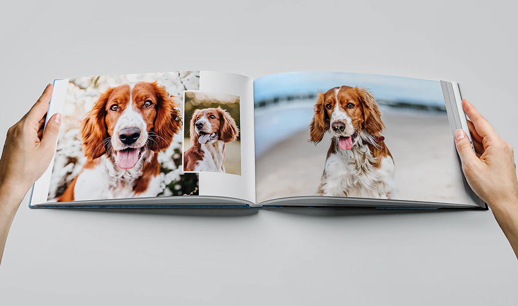 Large Fabric Photo Albums|Large Fabric Photo Albums|Large Fabric Photo Albums|Large Fabric Photo Albums|Large Fabric Photo Albums|Large Fabric Photo Albums|Large Fabric Photo Albums|Large Fabric Photo Albums|Large Fabric Photo Albums||