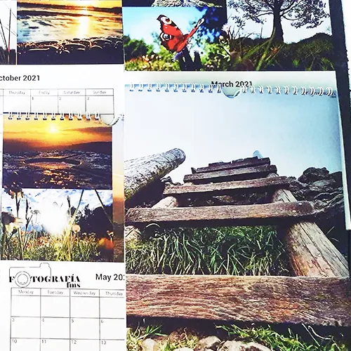 I have so much support by people that care about me plus complete and utter strangers who appreciate my photography hobby, and with this encouragement and support I have slowly grown,...