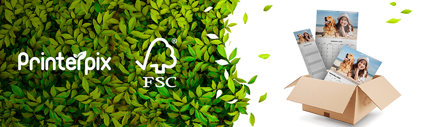 Sustainable Memories